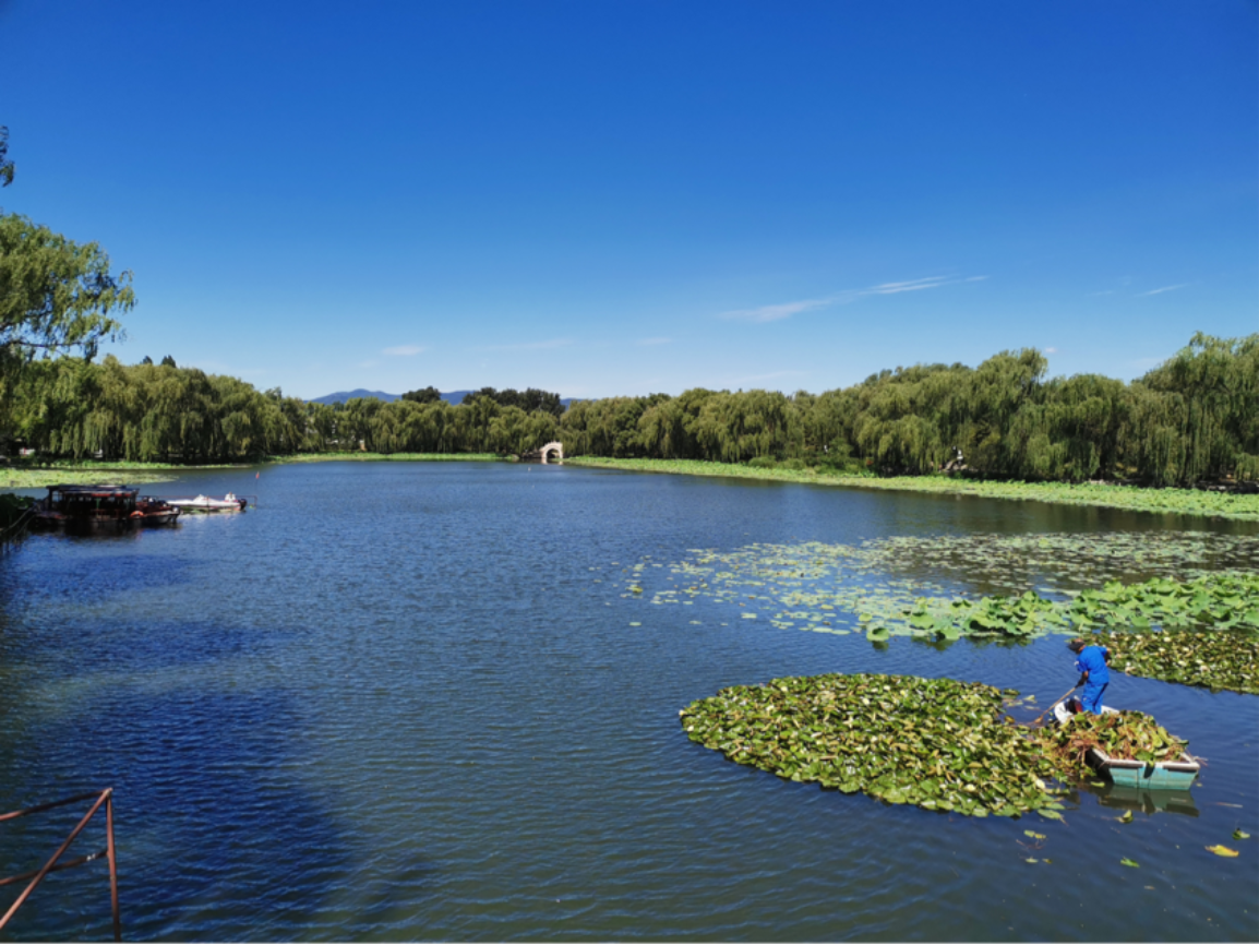 2021-06-17 21:28:09.007000